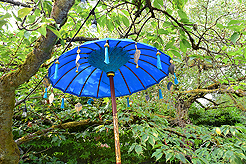 DAYLIGHT, DARK NIGHT AND BLUE SKIES WITH PAPA BUENO